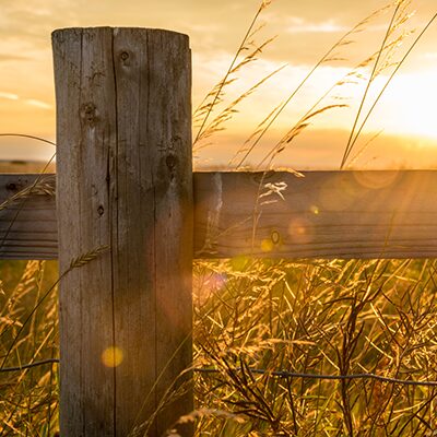 Agricultural Fence Materials