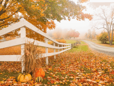 white wood fence on a fall day