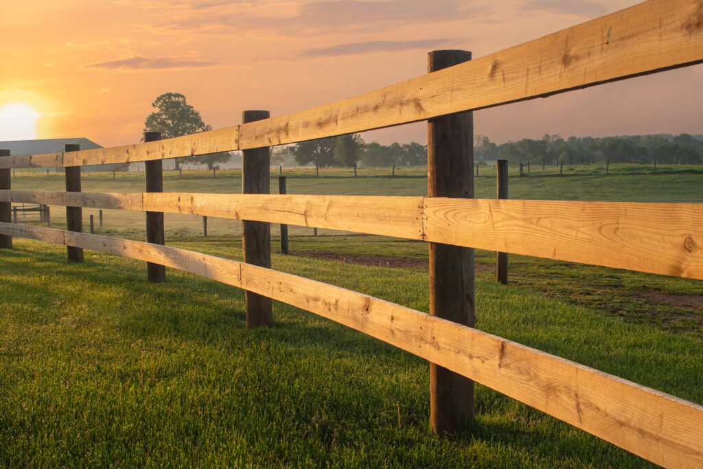 A raw, unfinished lumber fence on a farm featuring round posts and 2x8 pieces of wood.