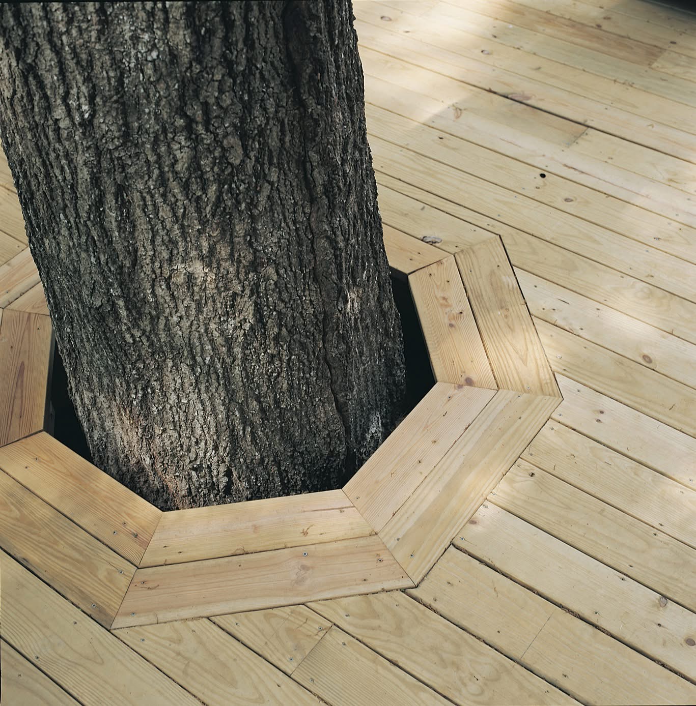 A deck stylistically designed around an existed tree.
