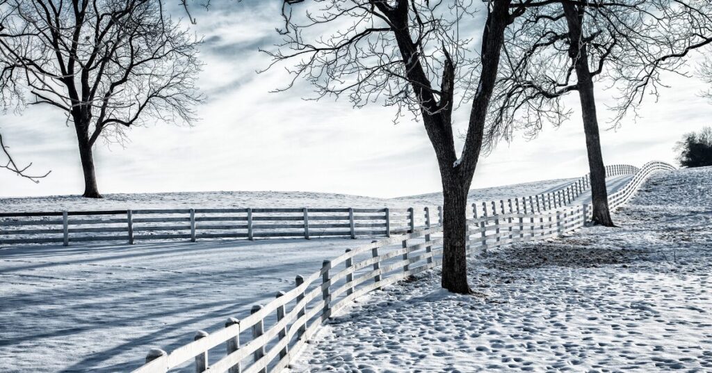 Wood fence covered in snow on a farm