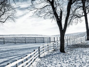 A snowed over landscape featuring a fence spanning a long driveway.