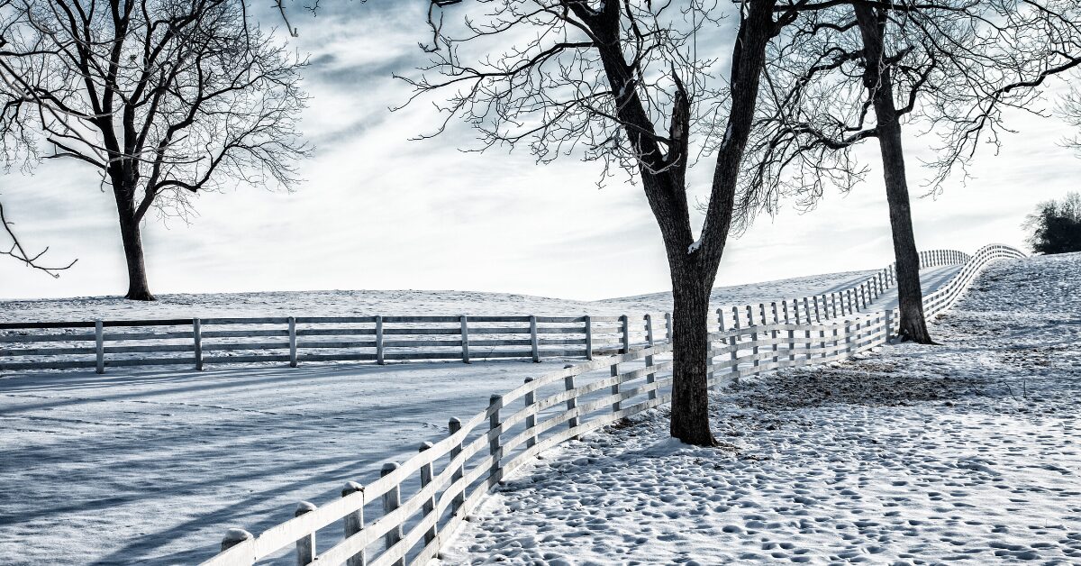 A snowed over landscape featuring a fence spanning a long driveway.