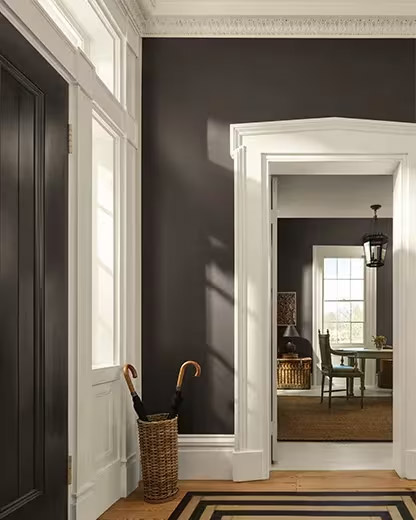 A muted green brown painted foyer with wood flooring.
